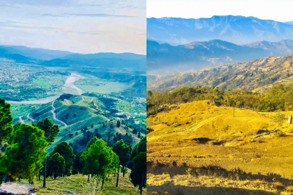 Kakani