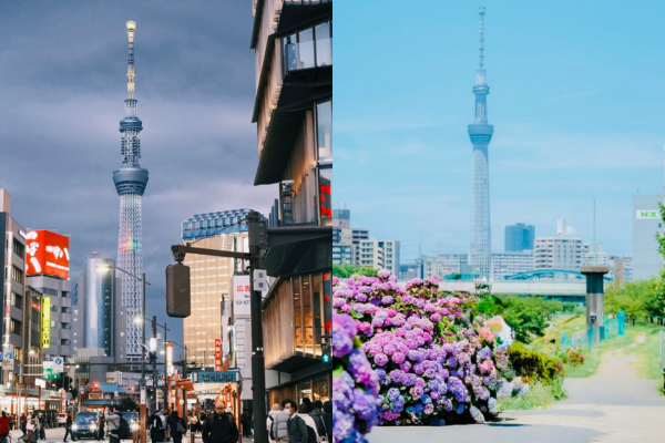 First time in Tokyo
