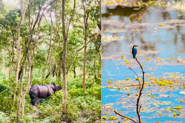 Chitwan National Park